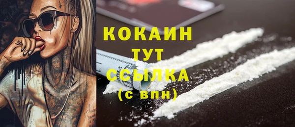 мет Семилуки