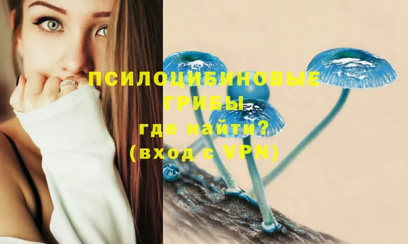 Галлюциногенные грибы ЛСД  цены   Ачинск 