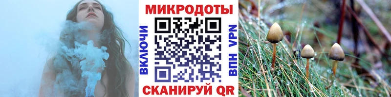 мега как зайти  Ачинск  Галлюциногенные грибы Magic Shrooms  закладка 