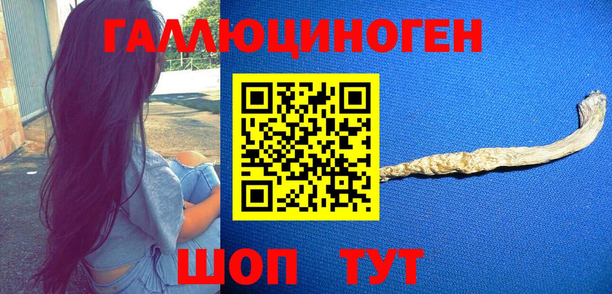 как найти наркотики  Вход с VPN  Ачинск  Галлюциногенные грибы Magic Shrooms  Галлюциногенные грибы мухоморы 