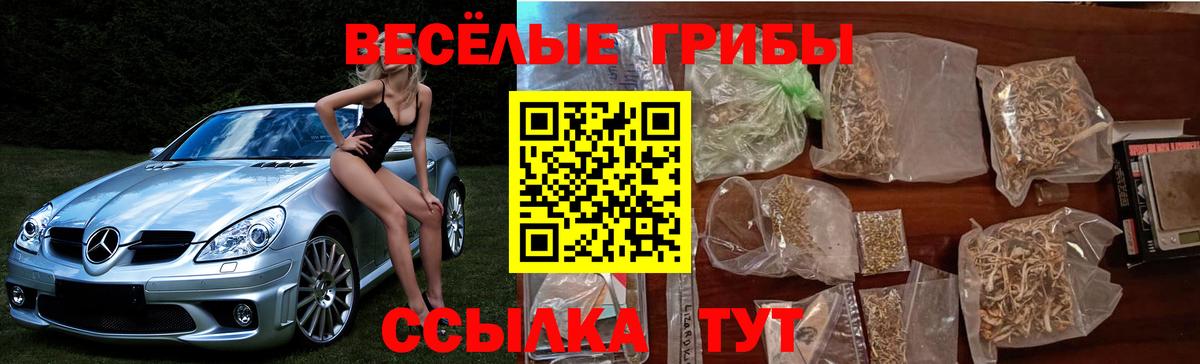 Псилоцибиновые грибы мухоморы Ачинск